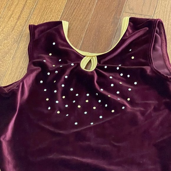GK Elite Sportswear Burgundy Gold Trim Gem Velour Leotard Adult Medium - Picture 3 of 11